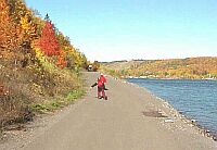 Houghton Lakeshore Trail in October