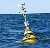 Buoy