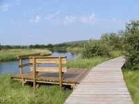 Pilgrim River Nara Nature Trail