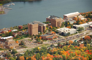 Campus in Autumn