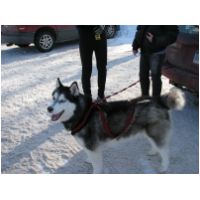 IMG_6403.JPG