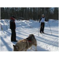 IMG_6460.JPG