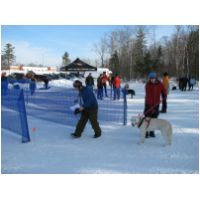 IMG_6479.JPG