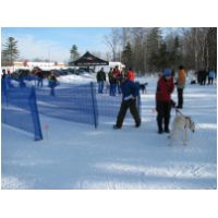 IMG_6480.JPG